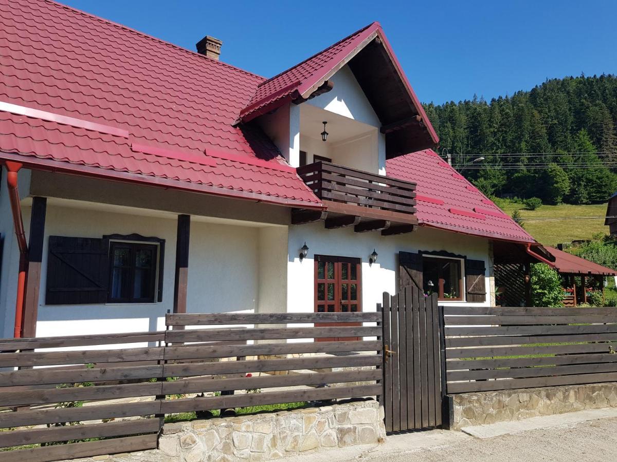 Pensiunea Daria Putna Esterno foto