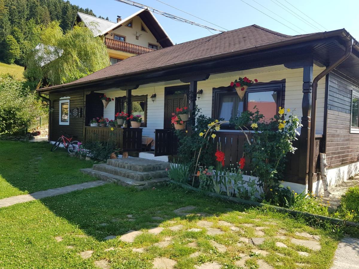 Pensiunea Daria Putna Esterno foto