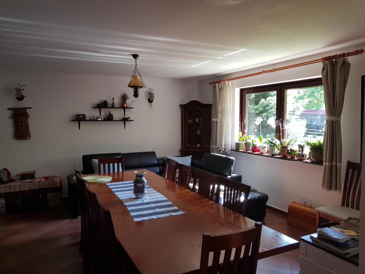 Pensiunea Daria Putna Esterno foto