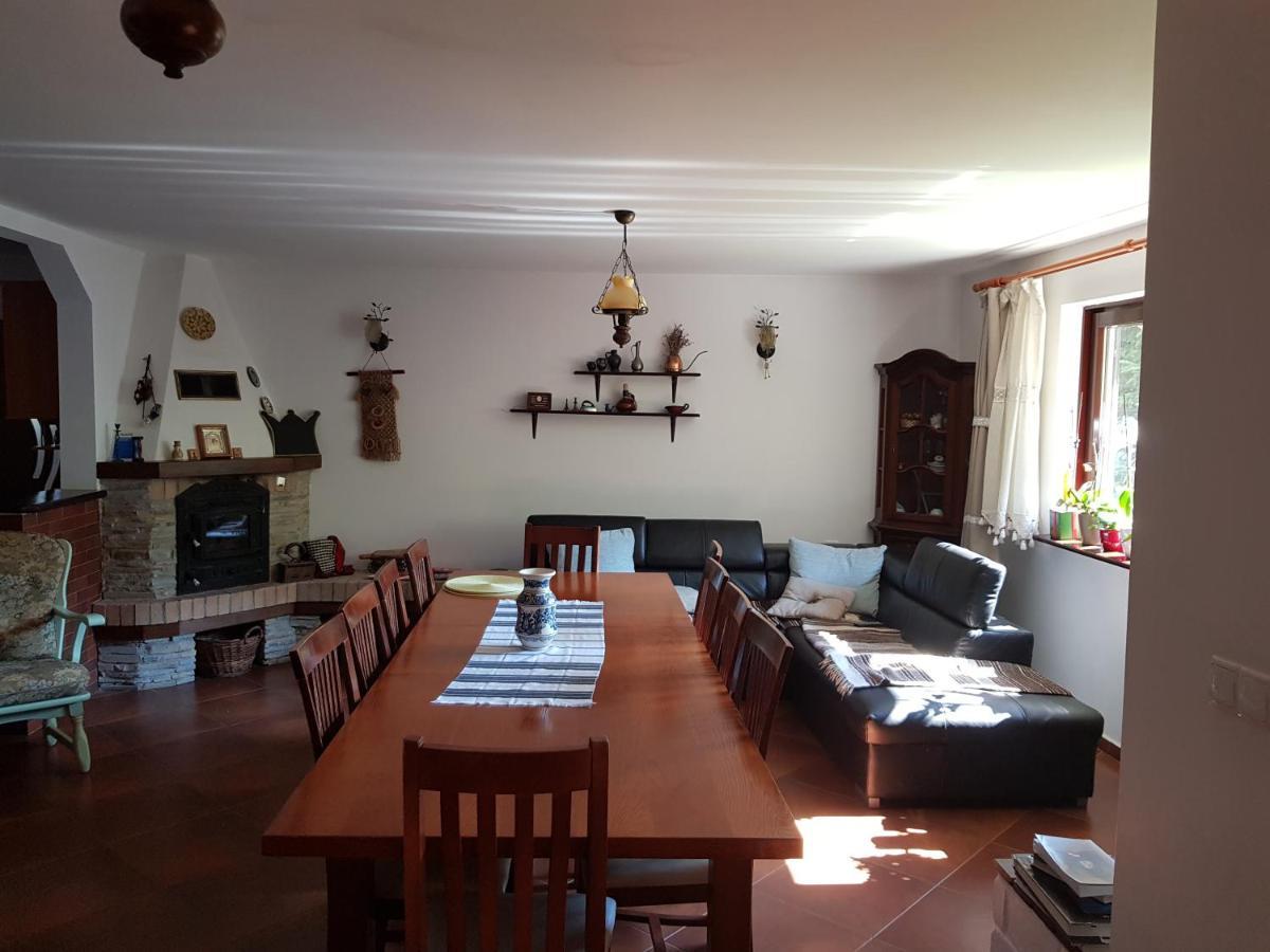 Pensiunea Daria Putna Esterno foto