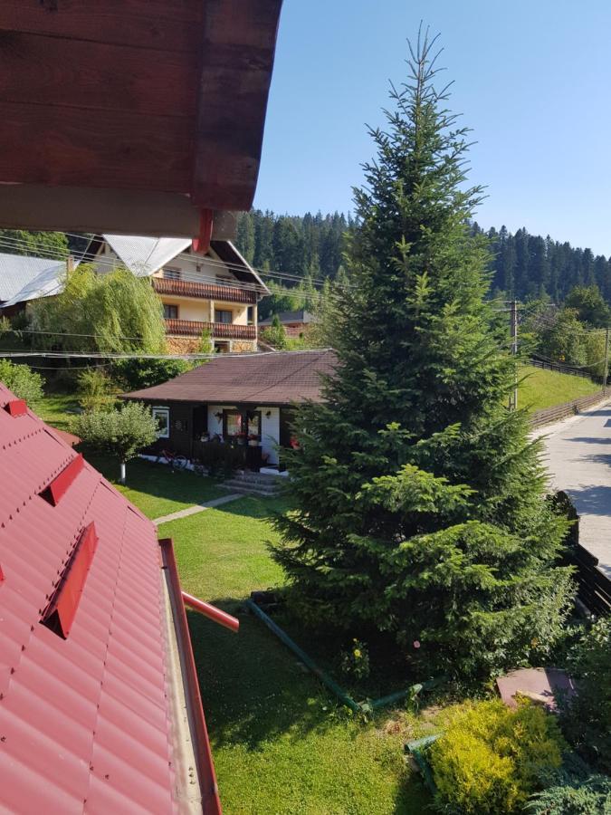 Pensiunea Daria Putna Esterno foto