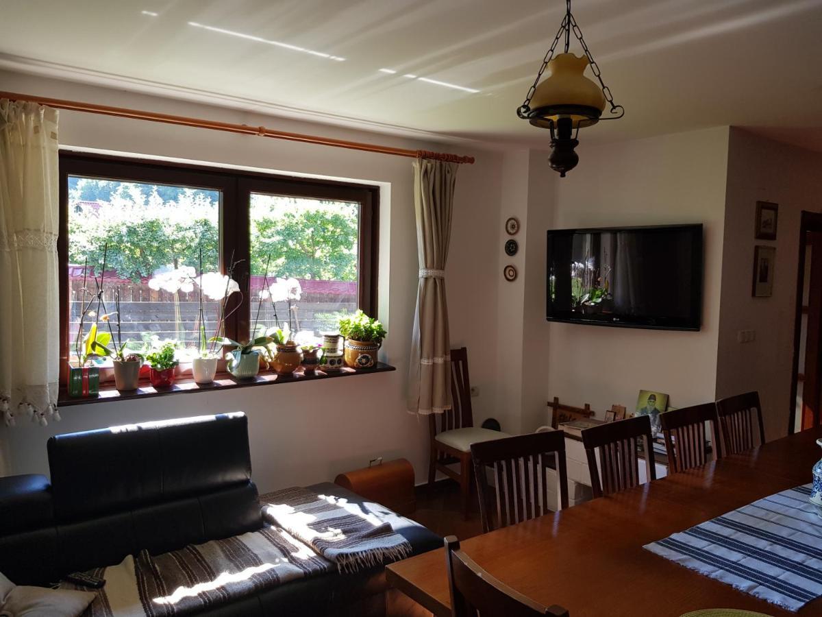 Pensiunea Daria Putna Esterno foto