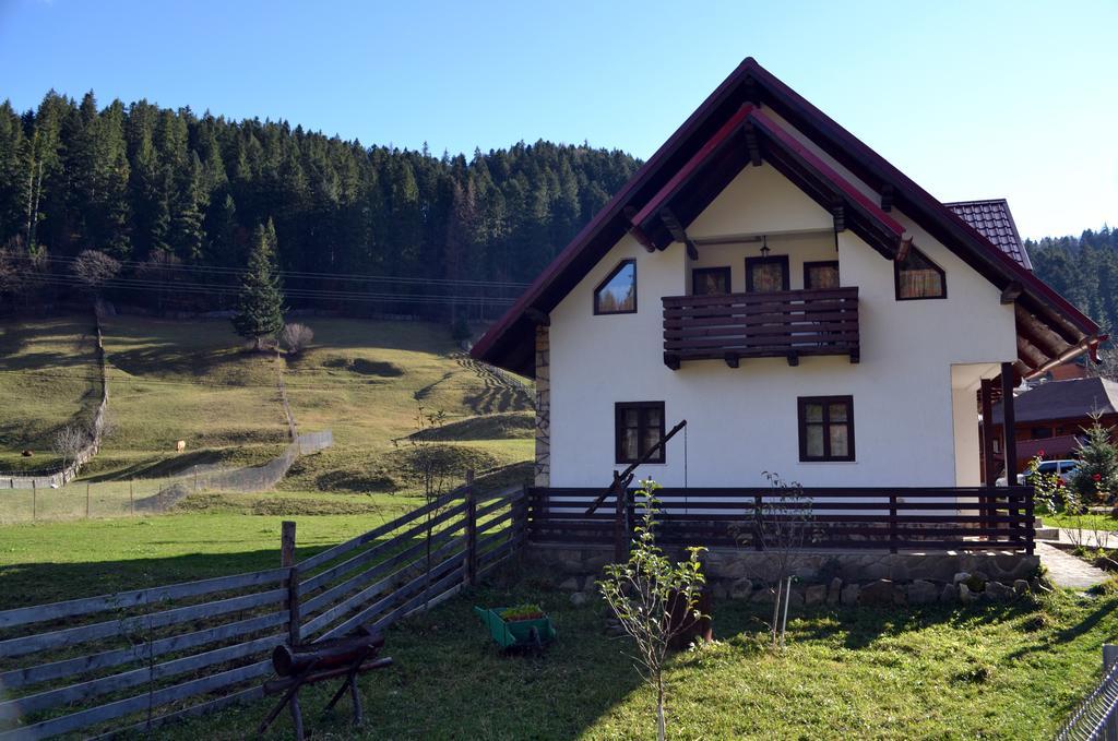Pensiunea Daria Putna Esterno foto